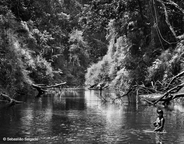 Sebastião Salgado - La foresta dell’Amazzonia: concerto